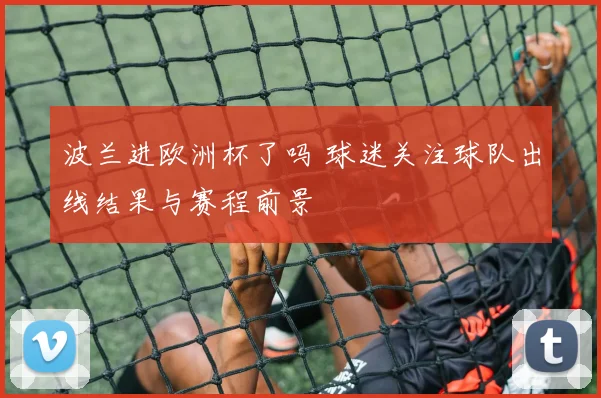 波兰进欧洲杯了吗 球迷关注球队出线结果与赛程前景
